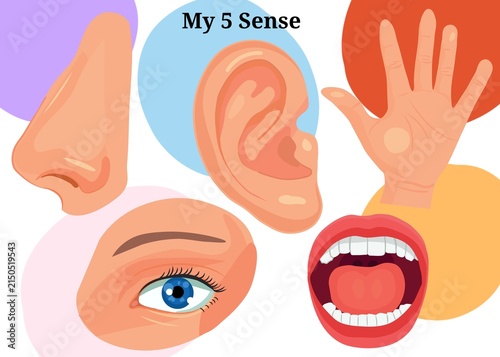 Five senses illustration handrawing illustration on white background