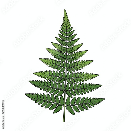 Close-up of a vibrant green pine tree branch.
