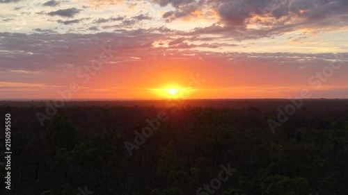 Aerial view of eucalyptus bushland and dry grassland in Northern Australia