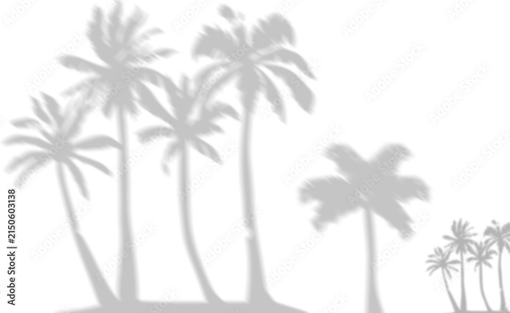 Naklejka premium Silhouette of tropical palm trees against white background for design and branding projects
