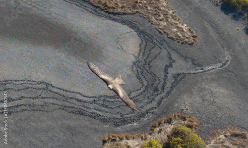dried up lagoon in fare north Queensland with a kite flying through.