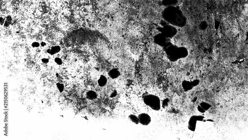Canvastavla Monochrome halftone texture with dark irregular shapes on a light, speckled background