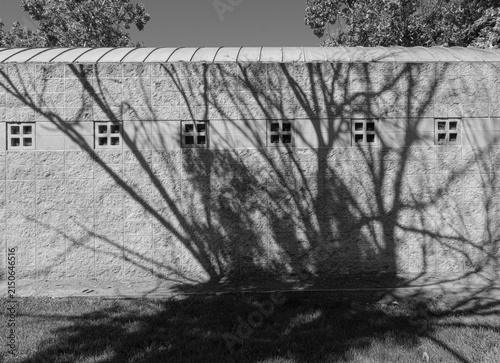 Canvastavla Shadow Patterns