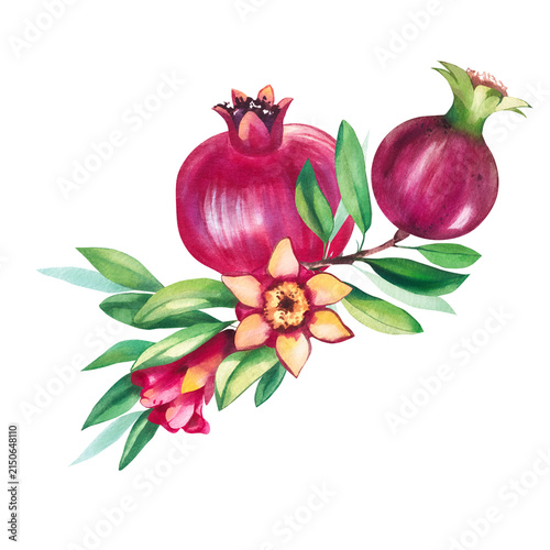 Pomegranate with leaves, flowers and fruits isolated elements. Pomegranate branches, leaves, flowers, fruits and seeds isolated elements. Watercolor pomegranate botanical illustrations for food