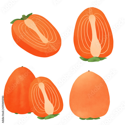 Hand-drawn watercolor-style persimmon illustration