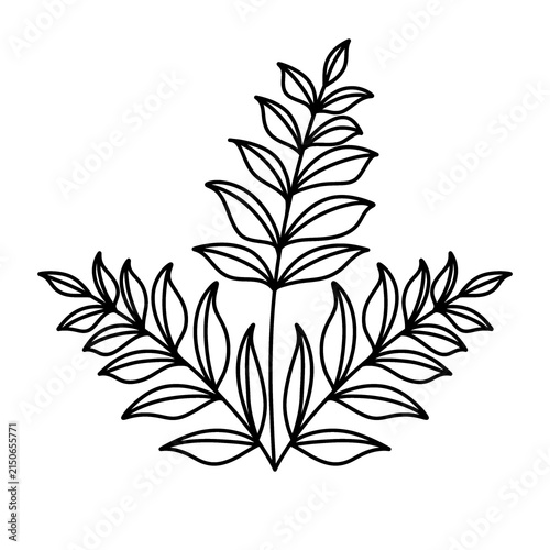 branch of a tree with leaves