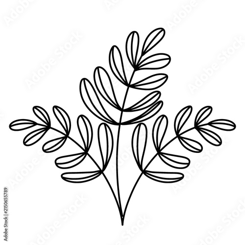 Botanical Leaf Branch Line Art Illustration