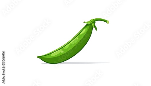 Fresh green cucumber with stem on white background.