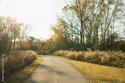 Autumn walking path through prairie grasses and woodland at Deer Grove East Forest Preserve in Palatine Illinois