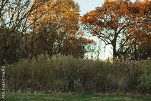 Autumn prairie and woodland scenery at Hidden Lakes Trout Farm and Hidden Oaks Nature Center in Bolingbrook Illinois