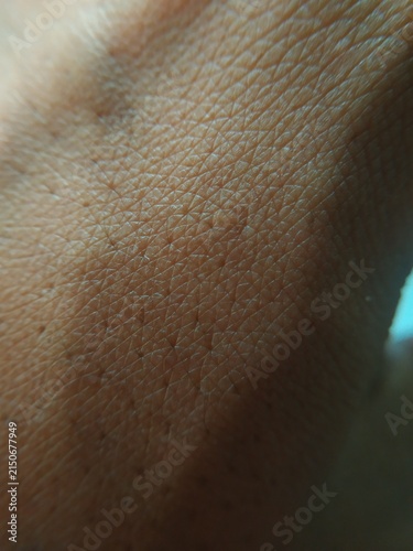 Extreme macro close up of human skin texture, showing pore details and natural epidermal pattern