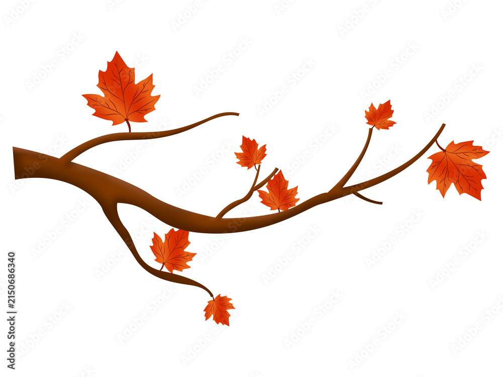 Fototapeta premium Autumn Maple Leaf Tree Branch