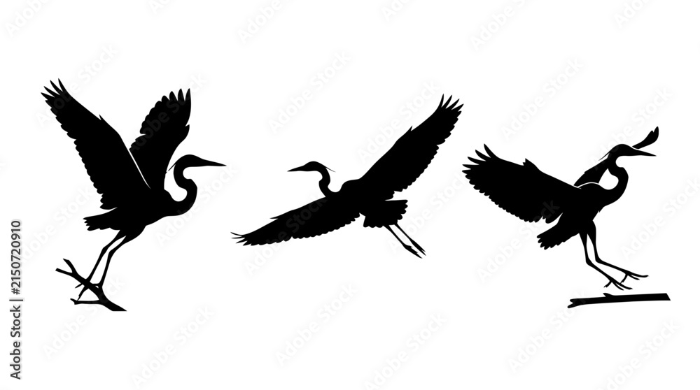 Naklejka premium Black Silhouettes of Three Herons or Cranes in Flight and Landing Isolated on White Background