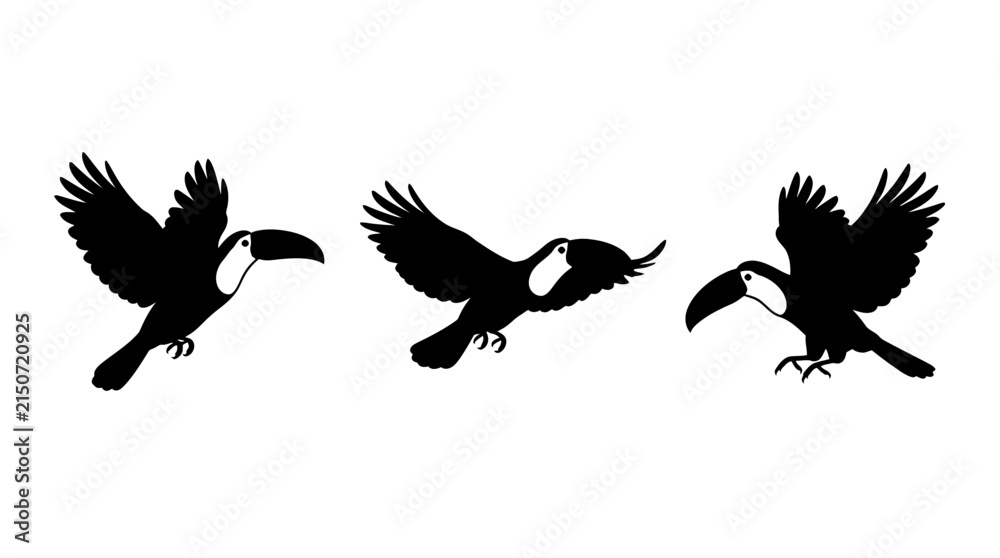 Obraz premium Black Silhouettes of Three Tropical Toucan Birds Flying Isolated on a Pure White Background Vector
