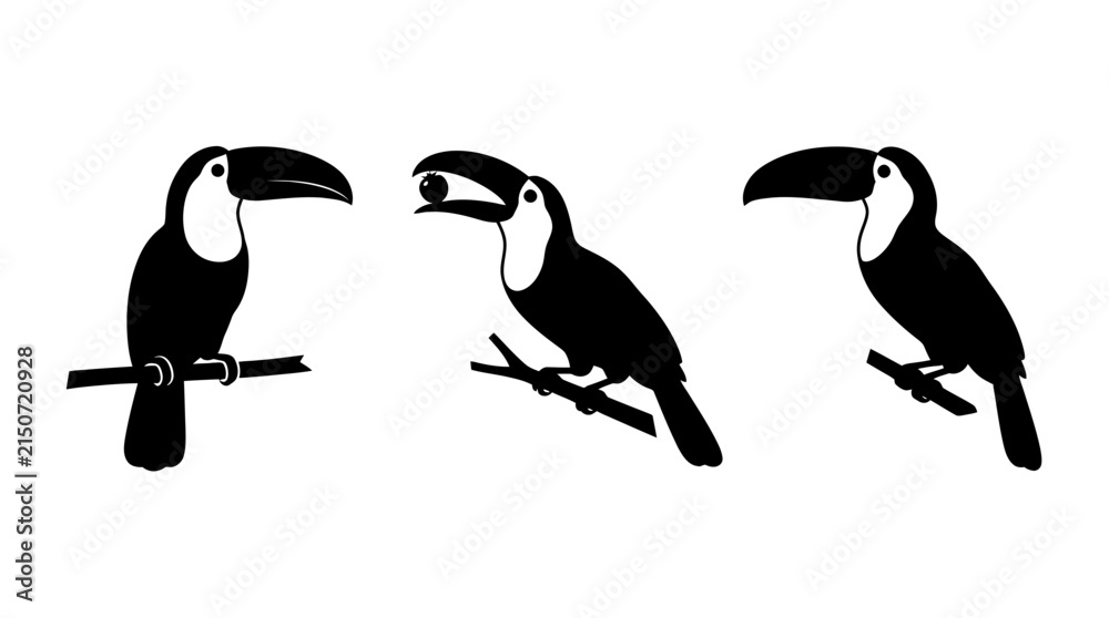 Obraz premium Collection of Three Toucan Bird Silhouettes Perched on Tree Branches Vector Icons on White Background