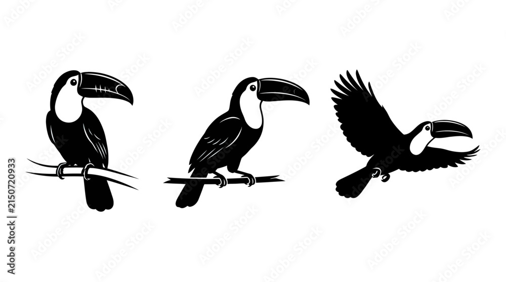 Obraz premium Collection of Toucan Bird Silhouettes Set Isolated on White Background Perched and Flying Poses