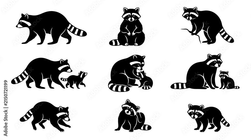 Obraz premium Set of black raccoon silhouettes in different poses and mother with baby raccoon illustrations