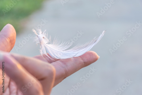 Foto Delicate white feather resting gently human fingertip against soft blurred backg