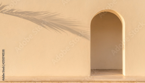 Minimalist Beige Wall with Archway and Palm Leaf Shadow Background
