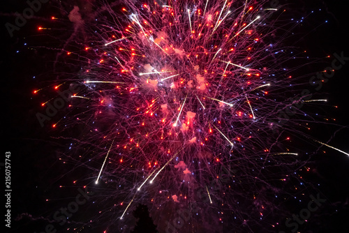 Spectacular Fireworks Display After Dark