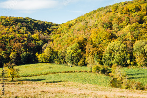 Paysage de prés et de forêt en automne en Bourgogne. Paysage automnale de campagne. Le monde rural.