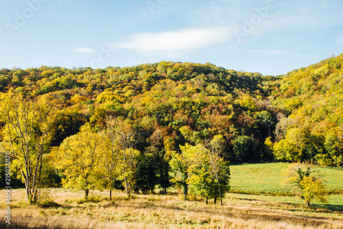 Paysage de prés et de forêt en automne en Bourgogne. Paysage automnale de campagne. Le monde rural.