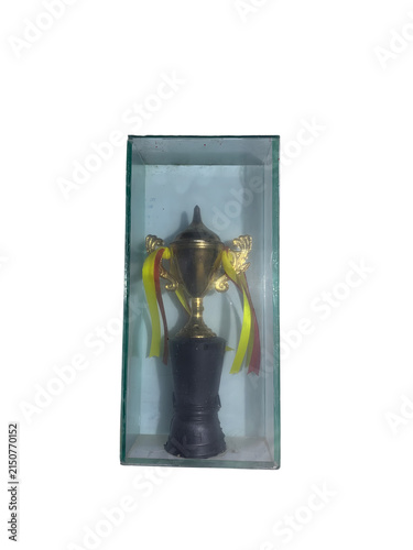 Gold trophy cup in a clear plastic display box for sports victory and achievement awards.