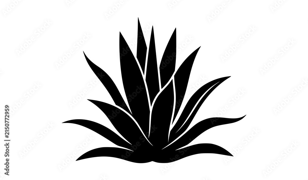 Obraz premium Stylized black agave leaf silhouette vector in asymmetric side view botanical design
