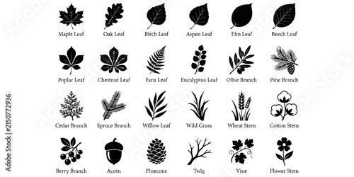 a comprehensive collection of gardening and horticulture icons including tools, plants, equipment, and accessories for a detailed stock photography asset