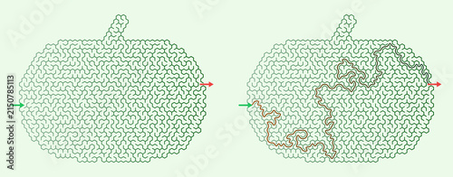 Puzzle maze design in the shape of a pumpkin with contrasting paths