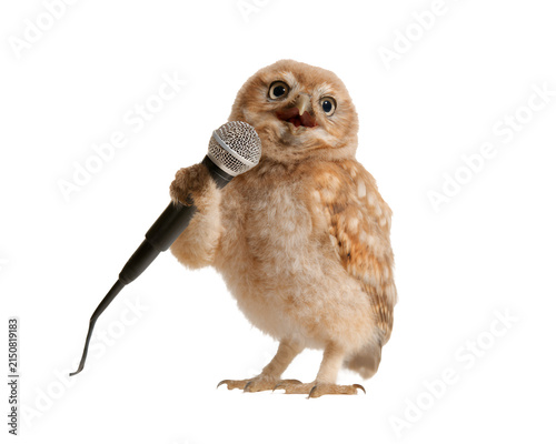 Cute owl holding a microphone isolated on white background