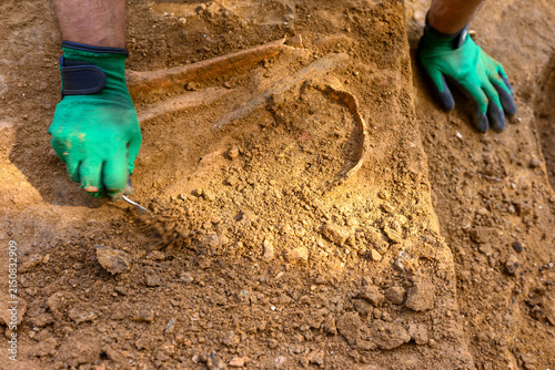 Fotografie Hands in green gloves excavating human bones in soil pit The Concept of archaeol