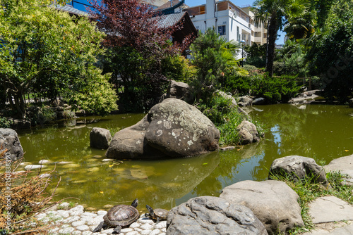 Russian-Japanese Friendship Garden with pond, rocks, and lush greenery, set against modern urban backdrop and Kailas building stylized as Japanese pagoda. Sochi, Russia – June 28, 2025
