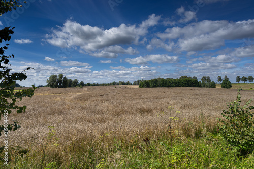 A beautiful summer day over the fields of the Warmian-Masurian Voivodeship.