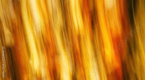 Abstract, blurred image of a tree with autumn leaves, featuring warm colors and a soft focus effect.