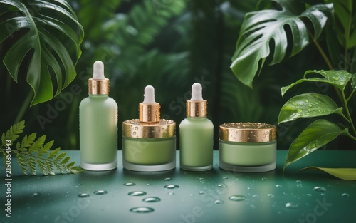 Set of natural organic skincare cosmetic bottles and jars with gold caps on green surface surrounded by lush tropical monstera leaves and water droplets for beauty