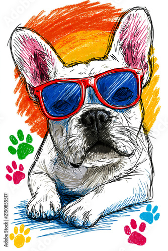 Rrench bulldog wearing retro sunglasses