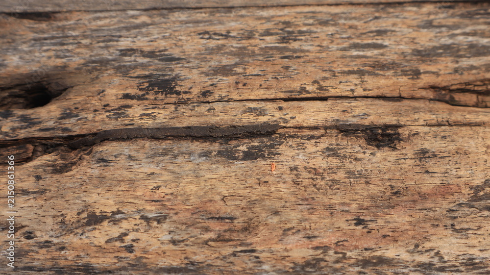 Naklejka premium High-quality texture of natural brown wood plank surface for background and interior design element
