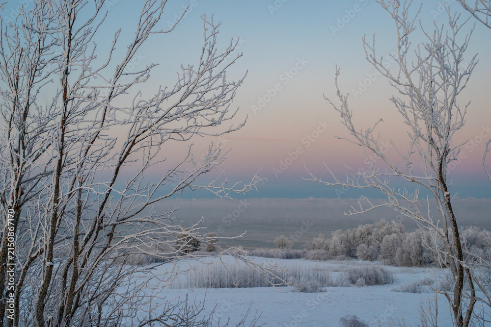 Fototapeta premium Winter landscape in Estonia with frost-covered trees framing the scene. he bare branches are delicately coated with ice giving them a shimmering white appearance. Frozen Baltic Sea in a background.