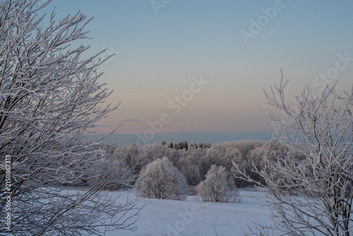 Winter landscape in Estonia with frost-covered trees framing the scene. he bare branches are delicately coated with ice giving them a shimmering white appearance. Frozen Baltic Sea in a background.
