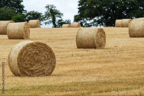 bales of hay