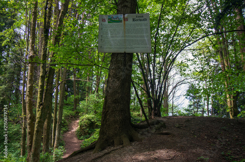 Information sign in forest where Barwałd castle once stood. Lesser Poland Voivodeship, Poland.