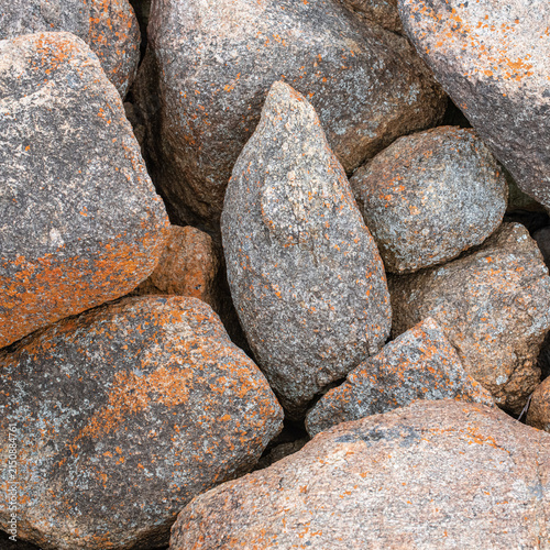Natural rock texture showing detailed surface patterns and mineral colours, photographed in Western Australia.