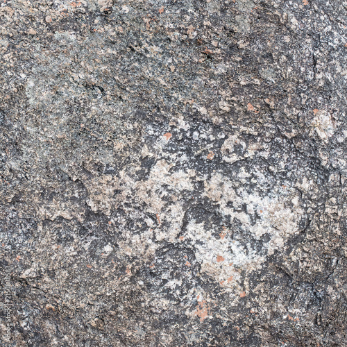 High‑resolution close‑up of a natural rock surface showing detailed texture, organic patterns, and weathered geological features. Ideal for backgrounds, design elements, and nature‑themed creative pro