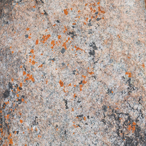 Natural rock texture showing detailed surface patterns and mineral colours, photographed in Western Australia.