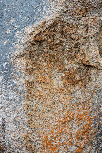 High‑resolution close‑up of a natural rock surface showing detailed texture, organic patterns, and weathered geological features. Ideal for backgrounds, design elements, and nature‑themed creative pro