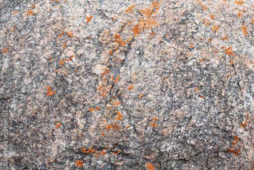 Natural rock texture showing detailed surface patterns and mineral colours, photographed in Western Australia.