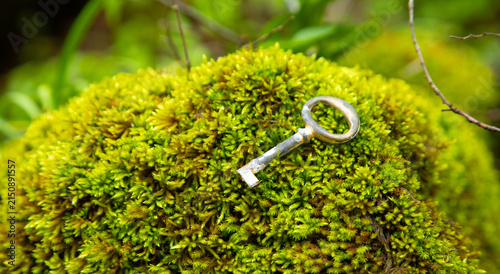 Old key in the nature background.