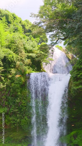 【スローモーション・縦構図】豊かな森の中で滑らかに流れ落ちる慈恩の滝の全貌