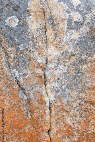 High‑resolution close‑up of a natural rock surface showing detailed texture, organic patterns, and weathered geological features. Ideal for backgrounds, design elements, and nature‑themed creative pro